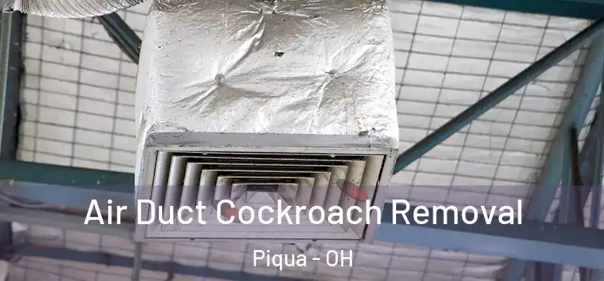 Air Duct Cockroach Removal Piqua - OH