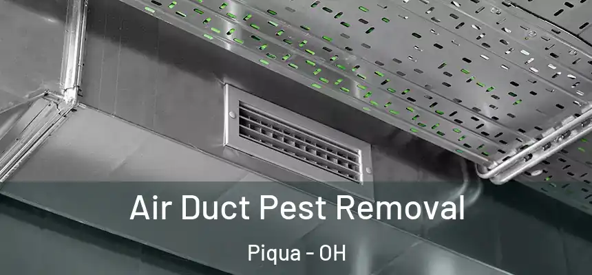  Air Duct Pest Removal Piqua - OH