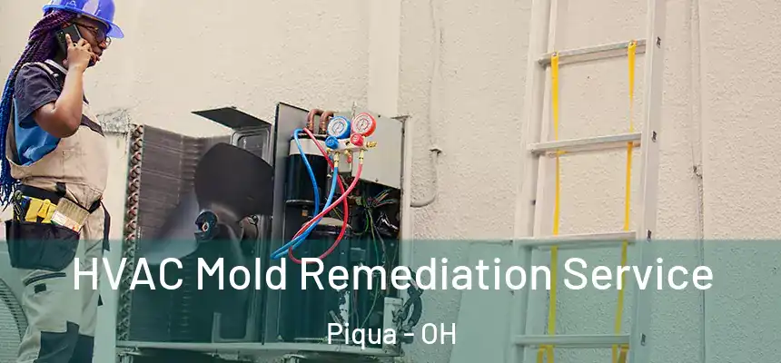  HVAC Mold Remediation Service Piqua - OH