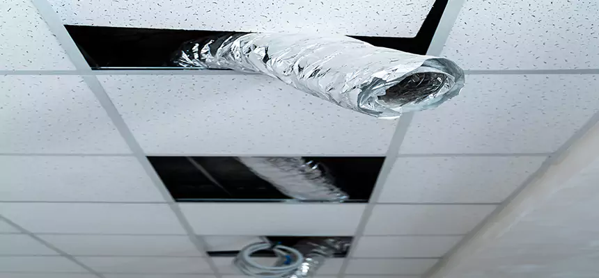 Affordable HVAC Sanitizing After Pest Removal in Piqua