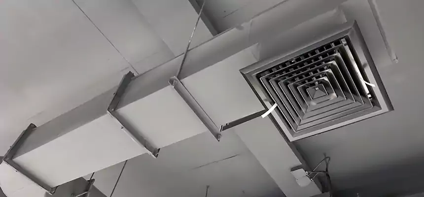 Our Pest Removal From Ducts Services in Piqua, OH