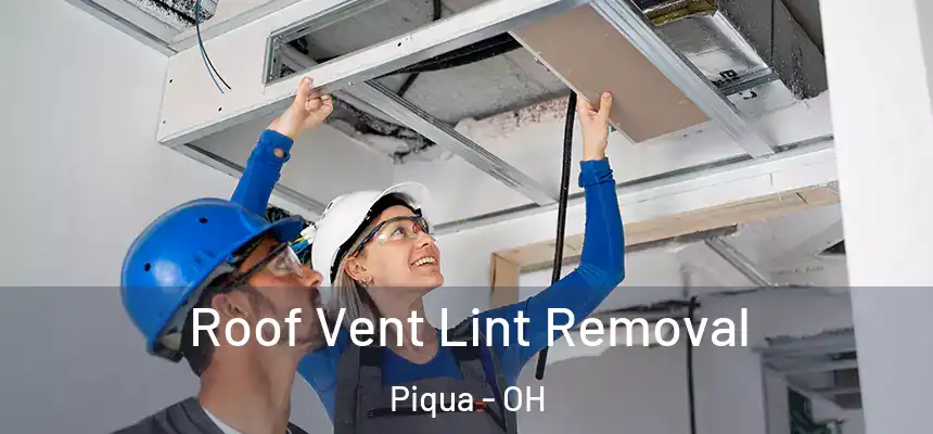  Roof Vent Lint Removal Piqua - OH