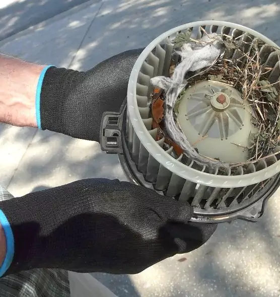 About Air Duct Mice Removal in Piqua, OH