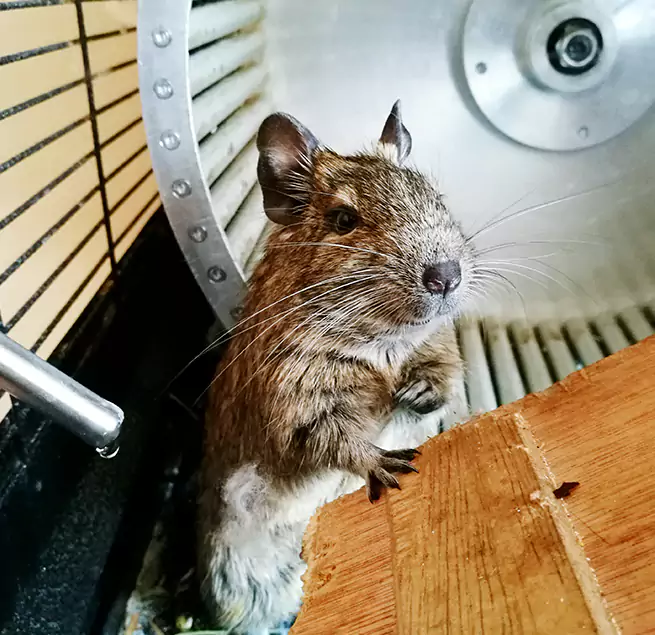 Why Homeowners & Businesses Trust Us Piqua, OH?